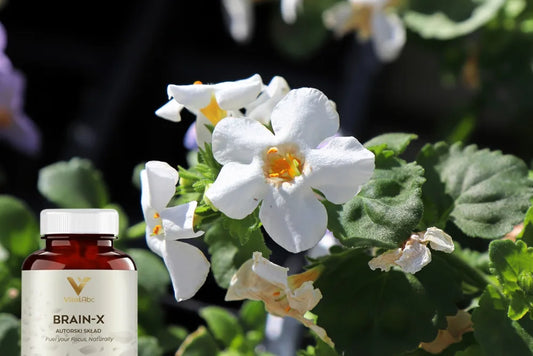 Hyzop wodny: starożytne zioło współczesnego dobrego samopoczucia – korzyści, zastosowania i przeciwwskazania