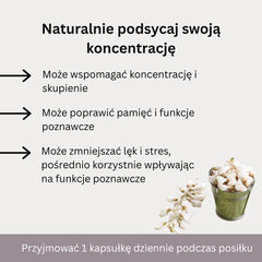 Brain-X – suplement diety na koncentrację, pamięć, jasność umysłu i zdrowie poznawcze