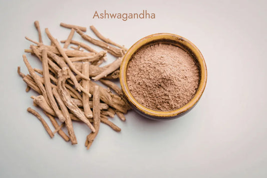  Proszek ashwagandha