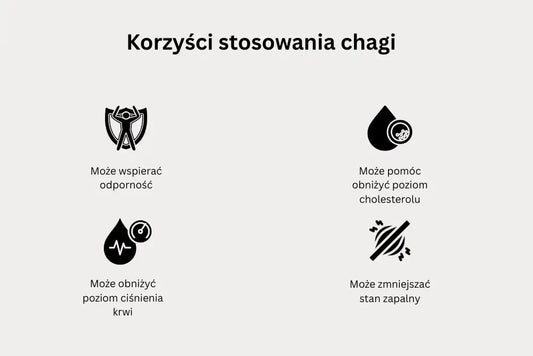 Chaga może pomóc obniżyć cholesterol i poziom cukru we krwi. Może wspierać odporność i zmniejszać stany zapalne