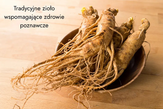 Tradycyjne zioło żeń-szenia koreańskiego