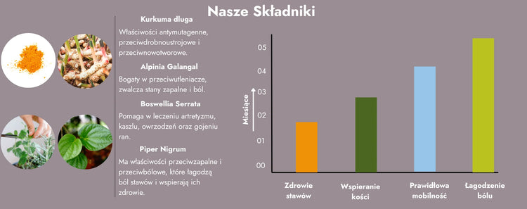 Składniki suplementu diety Joint Comfort dla wegan