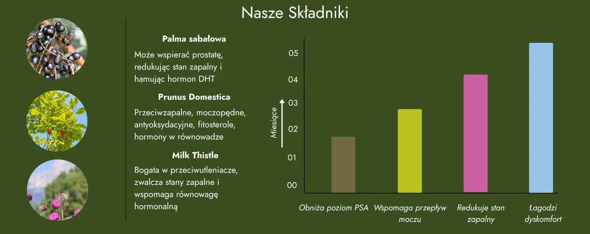 Ekstrakt z palmy sabałowej, ekstrakt ze śliwy domowej i ostropest plamisty dla zdrowia i dobrego samopoczucia mężczyzn.