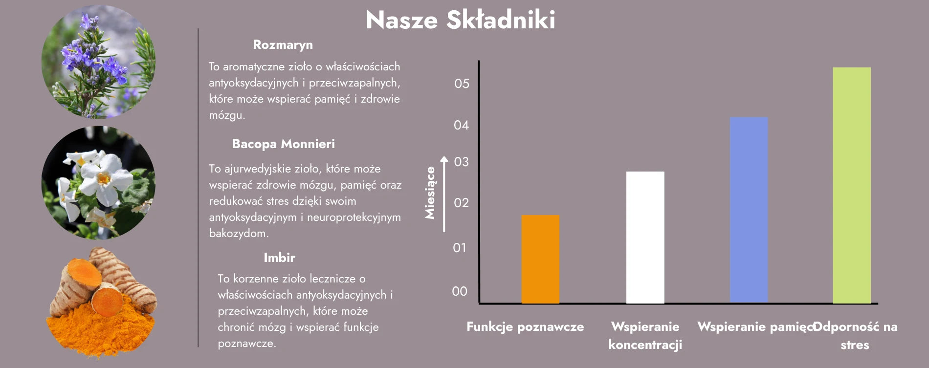 Składniki Brain-X