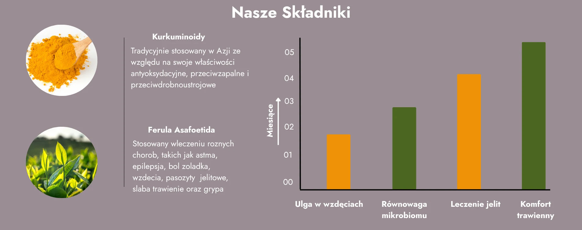 Składniki Microbiome Support